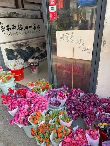 裕丰花市和海卉花式，哪里更适合买花？