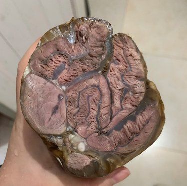 我买到了最牛掰的牛肉腱子肉
