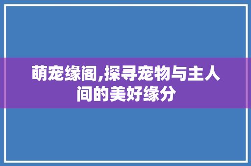 萌宠缘阁,探寻宠物与主人间的美好缘分