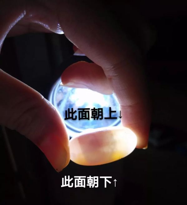 乌龟蛋的孵化方法（详解乌龟蛋的孵化过程）