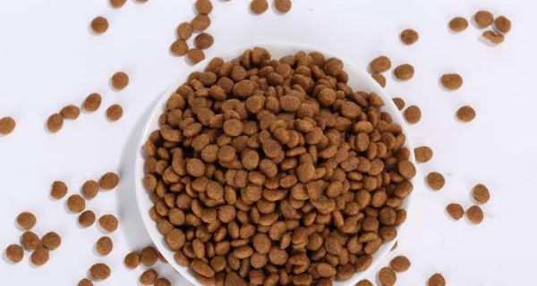 自制拉布拉多狗粮，健康呵护你的爱宠（以天然食材打造营养均衡的饮食体系，献给爱宠的最佳选择）