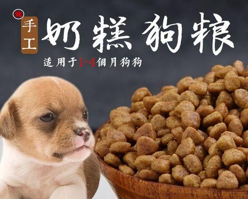 自制拉布拉多狗粮，健康呵护你的爱宠（以天然食材打造营养均衡的饮食体系，献给爱宠的最佳选择）