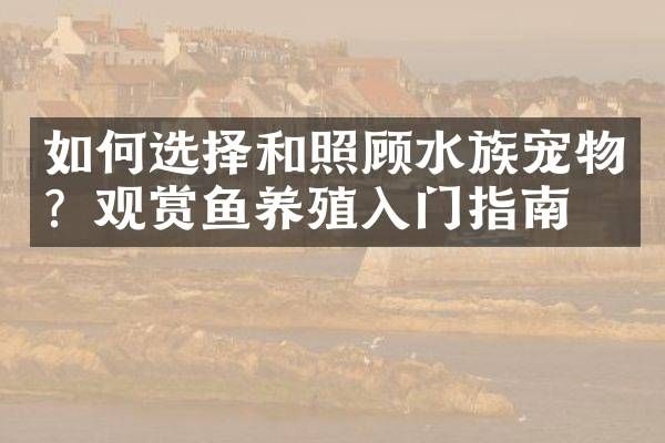 如何选择和照顾水族宠物？观赏鱼养殖入门指南