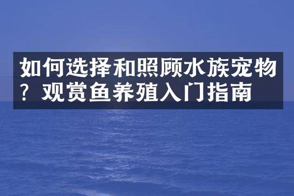 如何选择和照顾水族宠物？观赏鱼养殖入门指南
