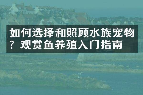 如何选择和照顾水族宠物？观赏鱼养殖入门指南