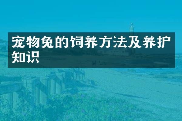 宠物兔的饲养方法及养护知识