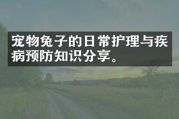 宠物兔子的日常护理与疾病预防知识分享。