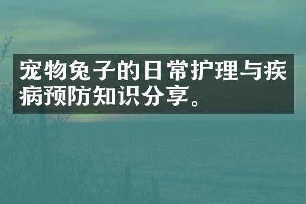 宠物兔子的日常护理与疾病预防知识分享。