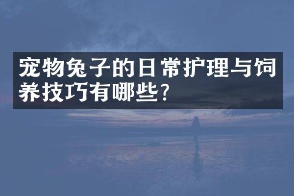宠物兔子的日常护理与饲养技巧有哪些？