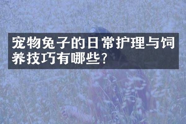 宠物兔子的日常护理与饲养技巧有哪些？