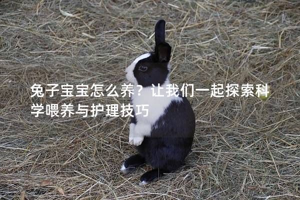 兔子宝宝怎么养？让我们一起探索科学喂养与护理技巧