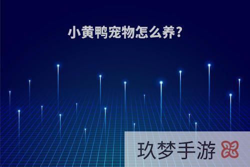 小黄鸭宠物怎么养?