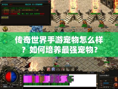 传奇世界手游宠物怎么样？如何培养最强宠物？