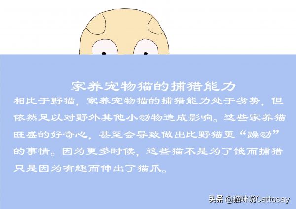 猫带铃铛有什么影响吗，给猫戴铃铛的利弊