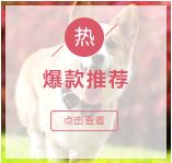详情分类1_08
