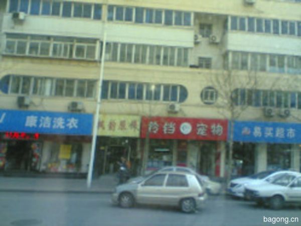 铃铛宠物 封面大图