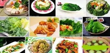 百灵鸟食谱:简易绿豆面制作指南,宠物必备!