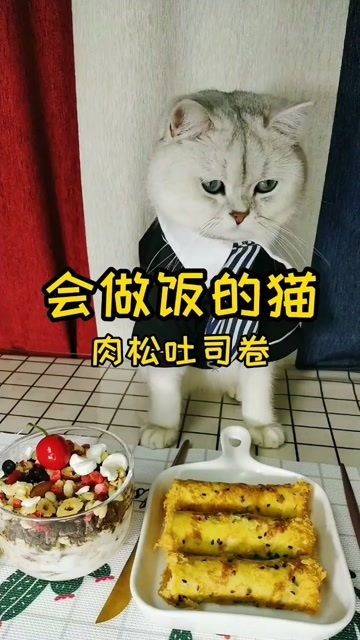 猫咪蛋糕：萌宠美食，简单做法！