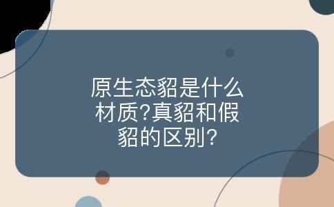 原生态貂是什么材质?真貂和假貂的区别?