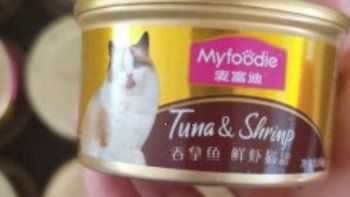 喂养小猫必备的吞拿鱼鲜虾罐头