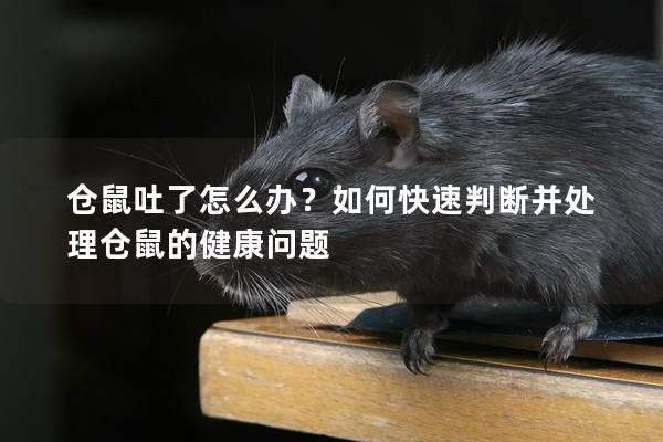 仓鼠吐了怎么办？如何快速判断并处理仓鼠的健康问题