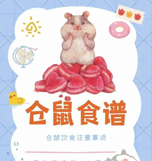 仓鼠养护指南（打造适宜的生活环境让仓鼠健康成长）