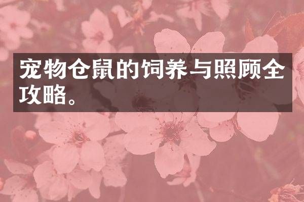 宠物仓鼠的饲养与照顾全攻略。