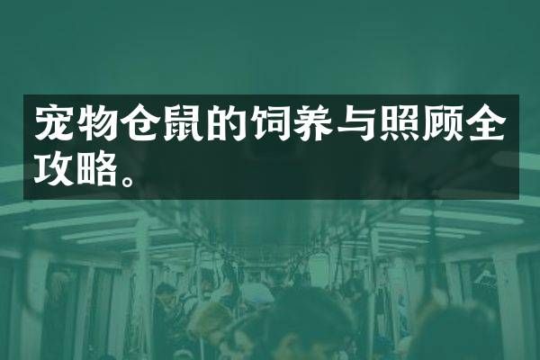 宠物仓鼠的饲养与照顾全攻略。
