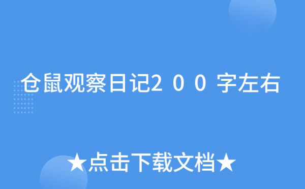 仓鼠观察日记200字左右