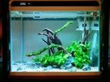 上海卖鱼缸的地方上海鱼缸定制