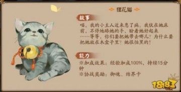 阴阳师宠物后院新增宠物 新小动物一览