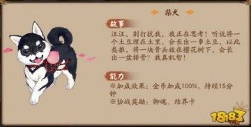 阴阳师宠物后院新增宠物 新小动物一览