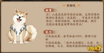 阴阳师宠物后院新增宠物 新小动物一览