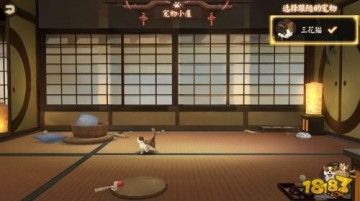 阴阳师宠物后院新增宠物 新小动物一览