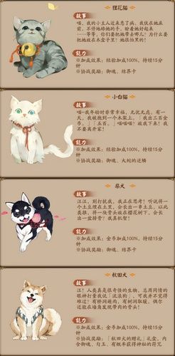 阴阳师宠物