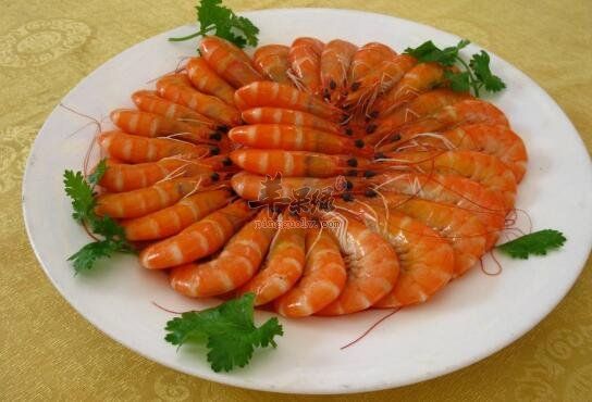 虾和鸽子能一起吃吗