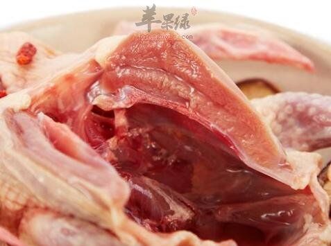 虾和鸽子能一起吃吗