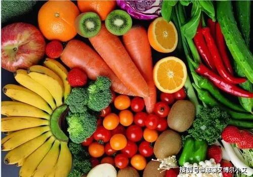 宠物蔬菜水果怎么喂？营养搭配指南