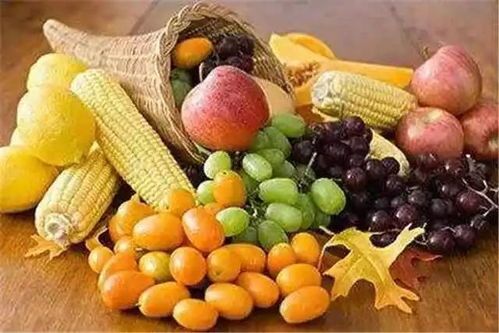 宠物蔬菜水果怎么喂？营养搭配指南
