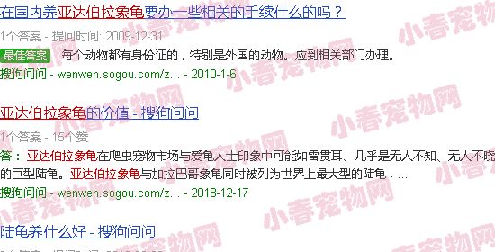 亚达伯拉象龟养殖违法吗