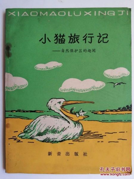 猫咪旅行记：宠物游历趣事