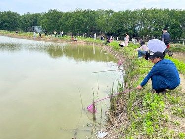 周末湖边垂钓的惬意