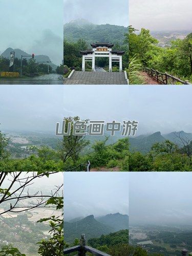 大自然的雨后韵味