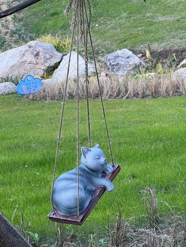 周末上山猫一会-合肥首个猫咪主题乐园