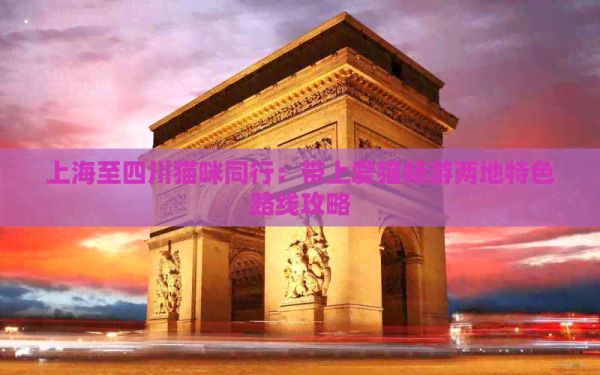 上海至四川猫咪同行：带上爱猫畅游两地特色路线攻略