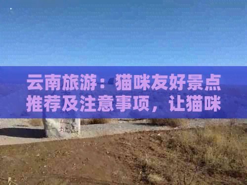 云南旅游：猫咪友好景点推荐及注意事项，让猫咪也能畅游云南