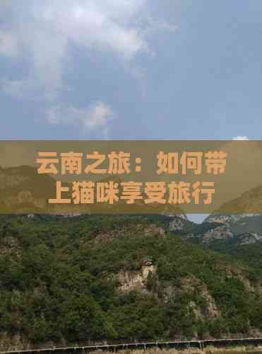 云南之旅：如何带上猫咪享受旅行