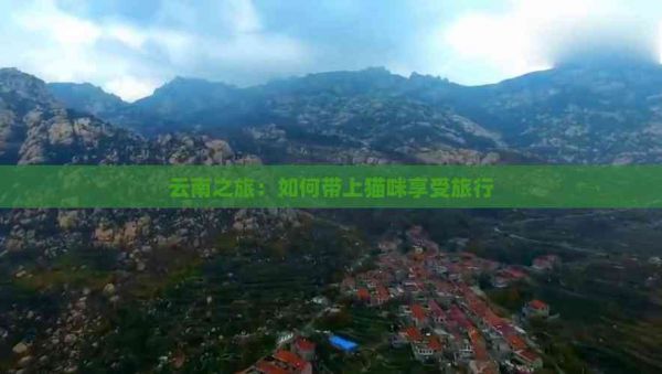 云南之旅：如何带上猫咪享受旅行