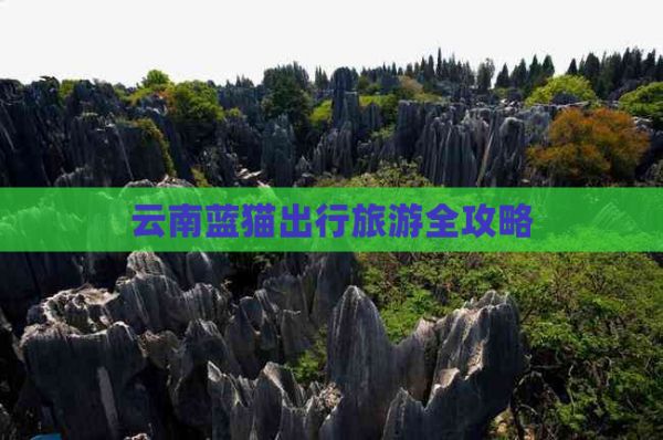 云南蓝猫出行旅游全攻略