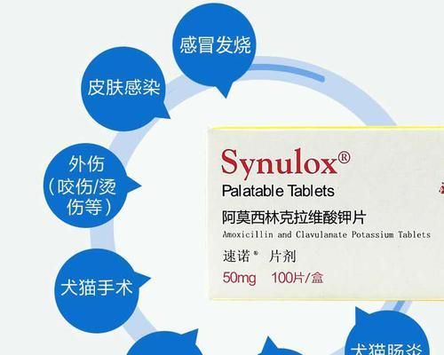 速诺针剂小猫使用指南（以宠物为主）